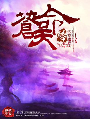 《苍天命》小说封面制作