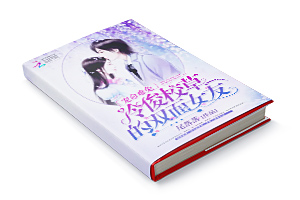 二十元小说封面服务制作