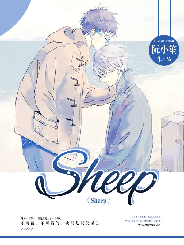 《Sheep》小说封面制作
