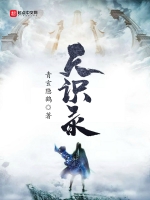 《天识录》