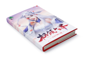 二十元小说封面服务制作