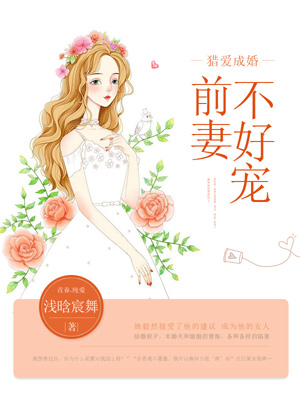 ԰ɻ飺ǰ޲ó衷С˵