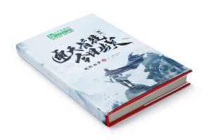 二十元小说封面服务制作