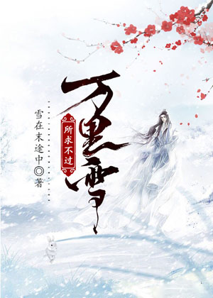 《所求不过万里雪》小说封面制作