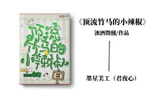 四十元小说封面服务制作