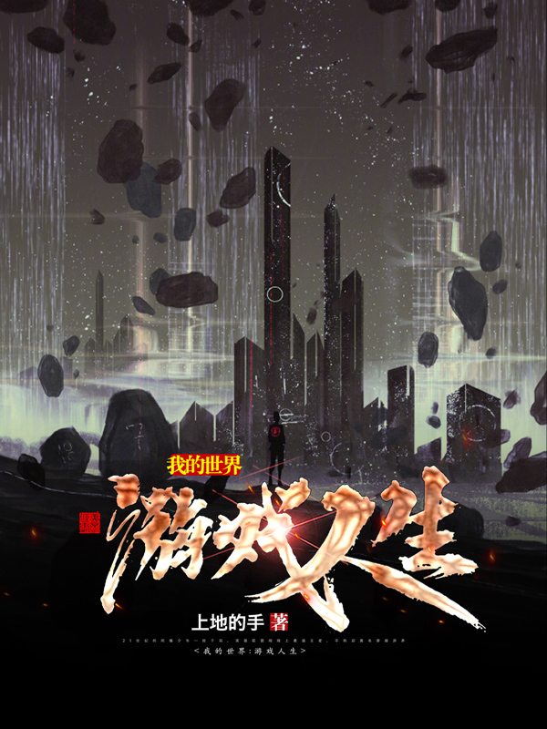 《我的世界:游戏人生【二次制作】》小说封面制作