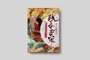 二十元小说封面服务制作