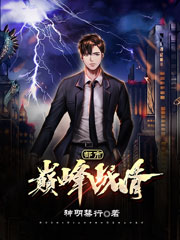 《都市巅峰战婿》