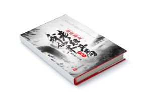 二十元小说封面服务制作