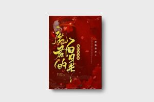 二十元小说封面服务制作