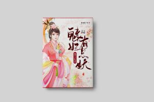 二十元小说封面服务制作