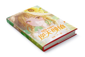 二十元小说封面服务制作