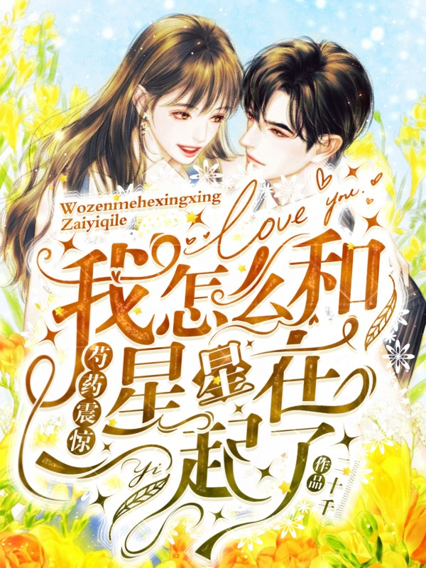 《芍药震惊,我怎么和星星在一起了》小说封面制作