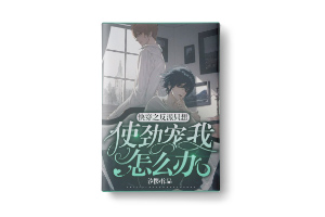 二十元小说封面服务制作