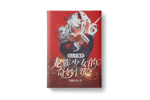 二十元小说封面服务制作