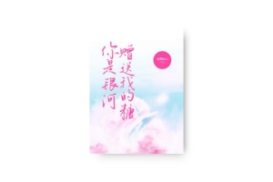 ҵǡС˵-īǷƷ