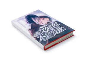 二十元小说封面服务制作