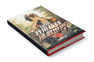 二十元小说封面服务制作