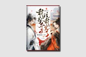四十元小说封面服务制作
