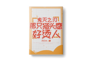 二十元小说封面服务制作