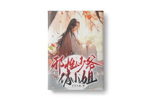 二十元小说封面服务制作