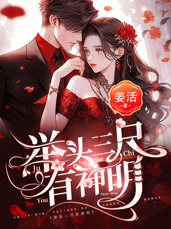 《举头三尺有神明》小说封面制作