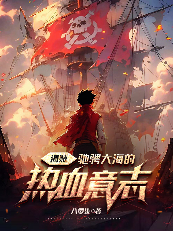 《海贼:驰骋大海的热血意志》小说封面制作