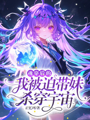 《魂穿后的我被迫带妹杀穿宇宙》