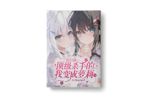 二十元小说封面服务制作