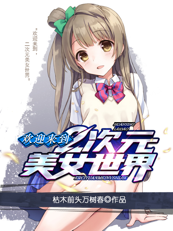 《欢迎来到二次元美女世界》小说封面制作