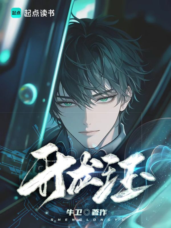 《升龙珏》小说封面制作