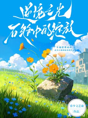 《逆境之光:石缝中的绽放》