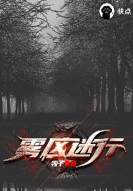 《雾区迷行》