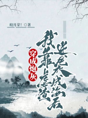 ŴС˵