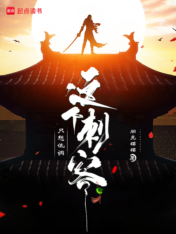 《这个刺客只想低调》小说封面制作