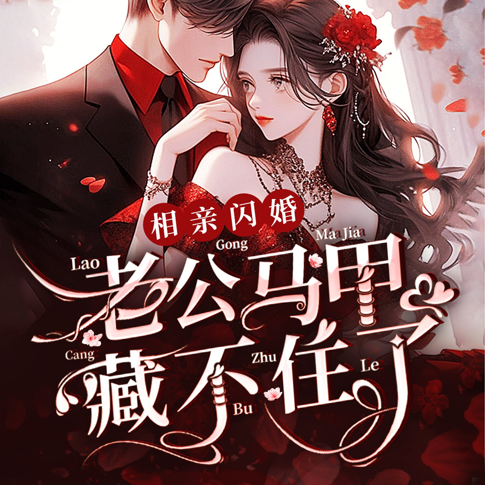 《相亲闪婚,老公马甲藏不住了》小说封面制作