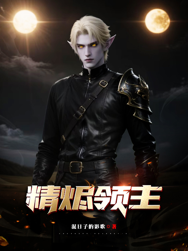 《精烬领主》小说封面制作