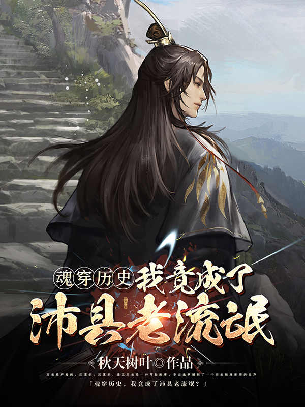 《魂穿历史,我竟成了沛县老流氓?》小说封面制作