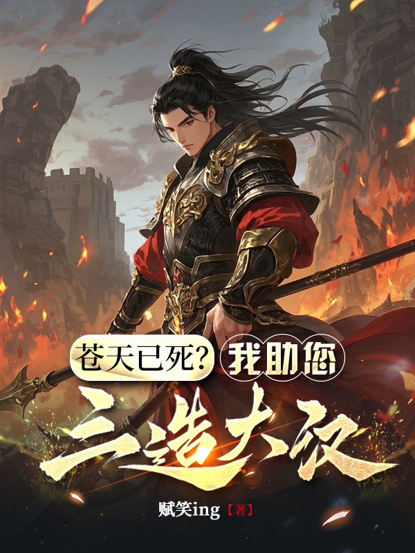 《苍天已死?我助您三造大汉!》小说封面制作