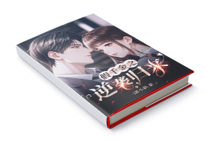 二十元小说封面服务制作