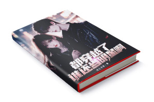 二十元小说封面服务制作