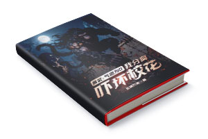 二十元小说封面服务制作