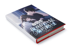 二十元小说封面服务制作